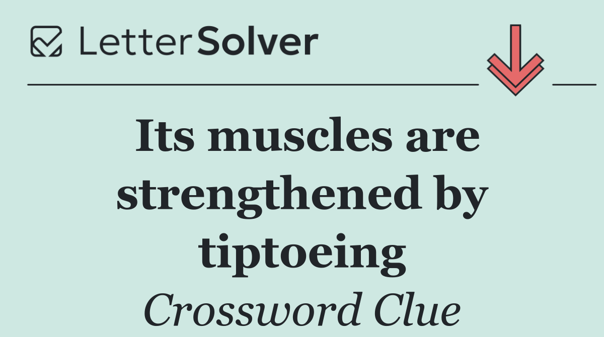 Its muscles are strengthened by tiptoeing