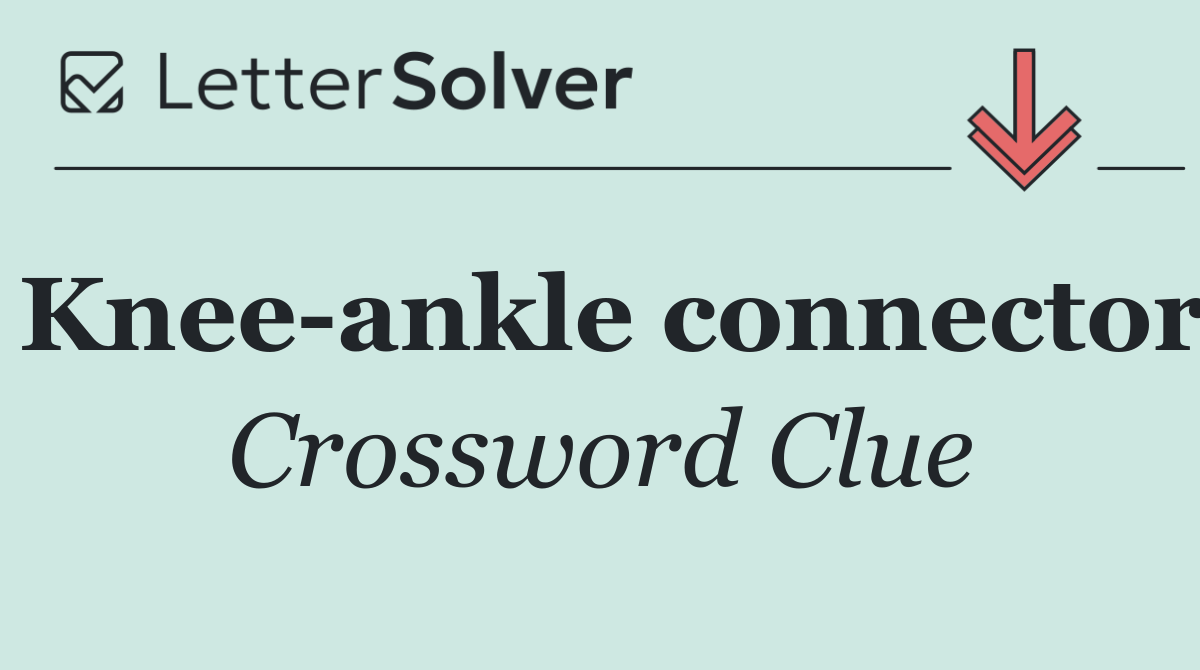 Knee ankle connector