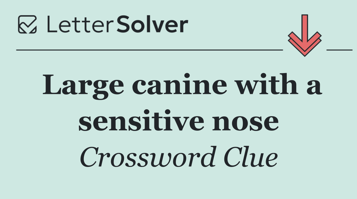 Large canine with a sensitive nose