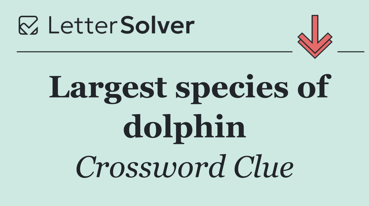 Largest species of dolphin
