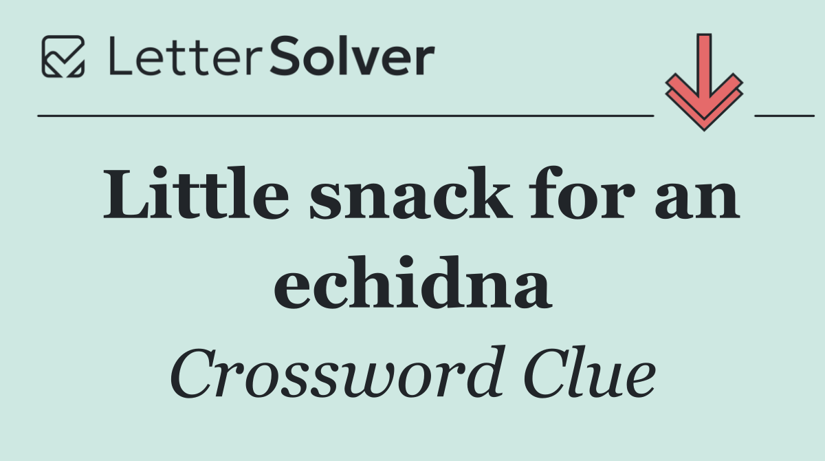 Little snack for an echidna