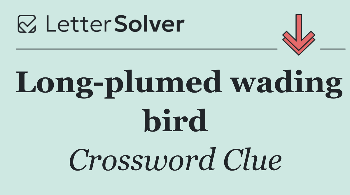 Long plumed wading bird