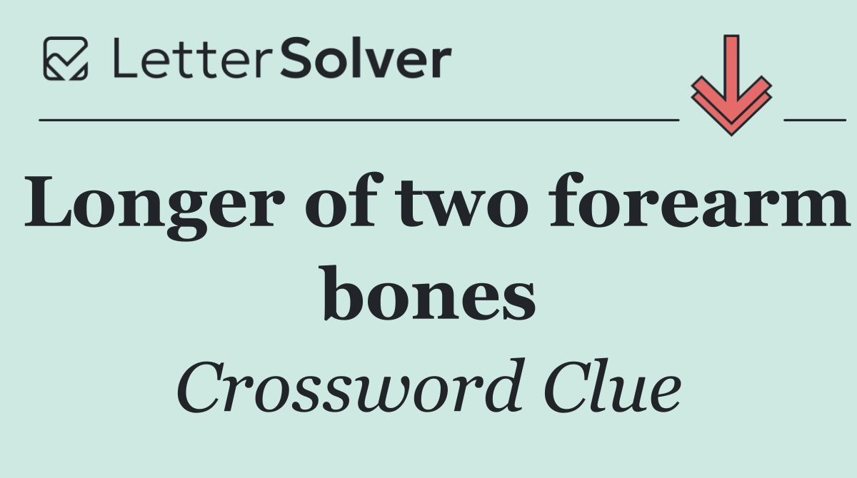 Longer of two forearm bones