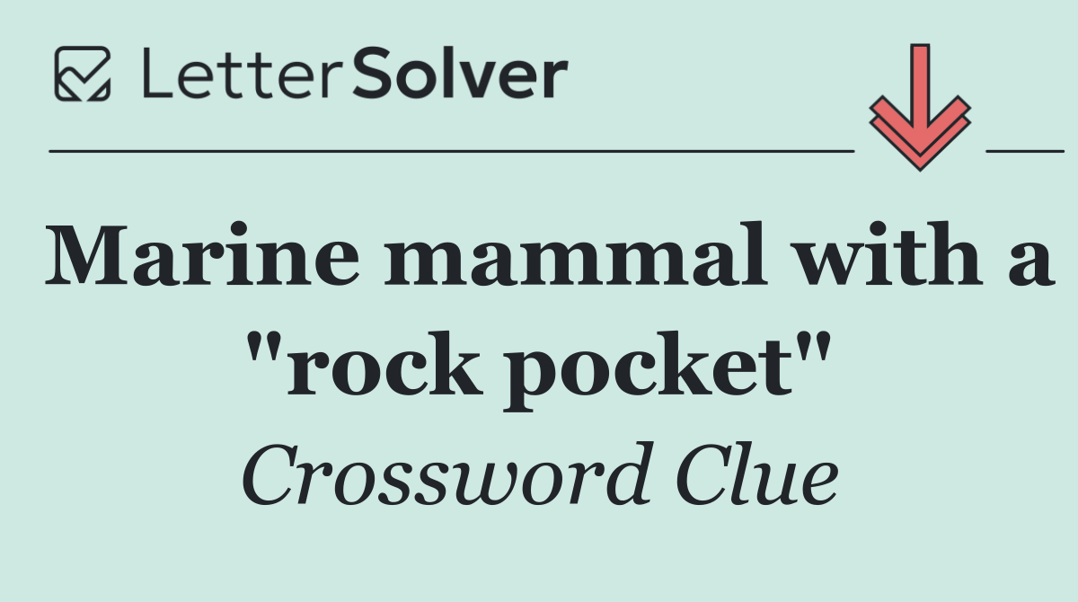 Marine mammal with a "rock pocket"