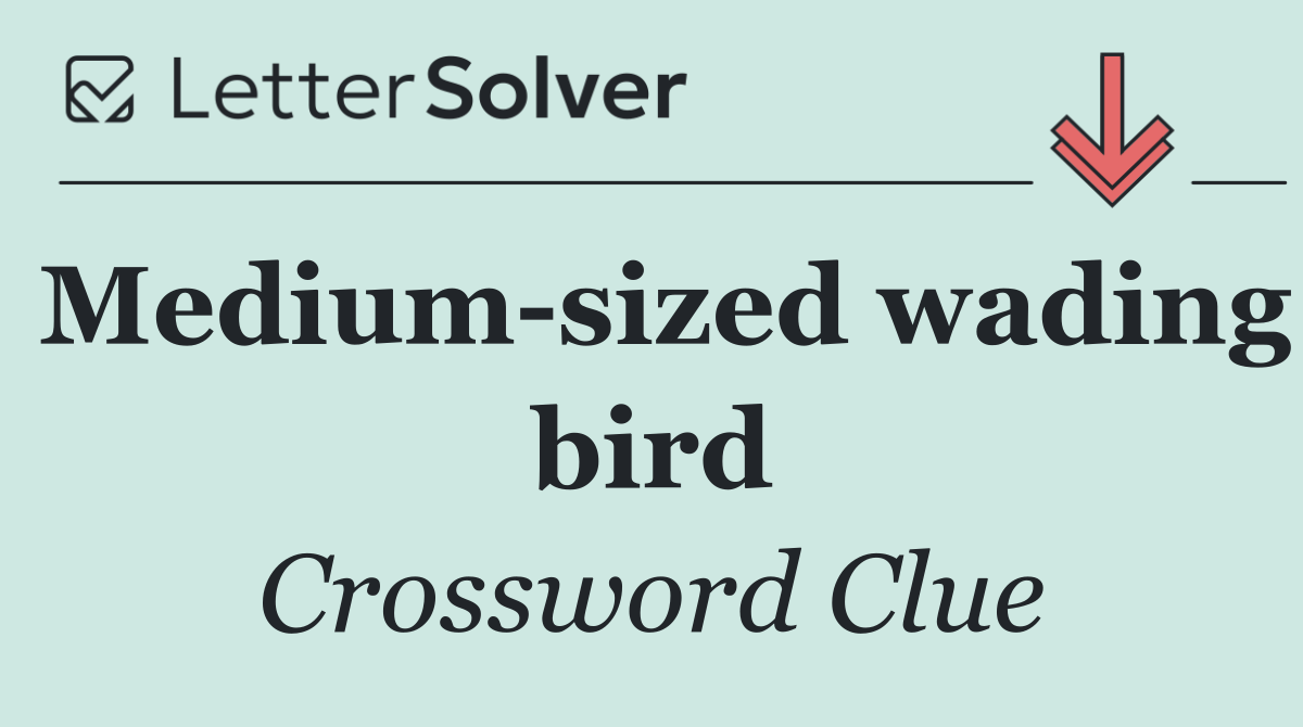 Medium sized wading bird