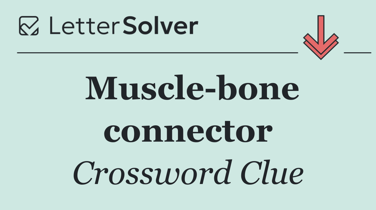 Muscle bone connector