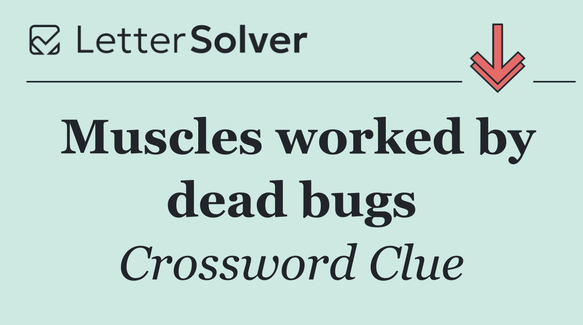 Muscles worked by dead bugs