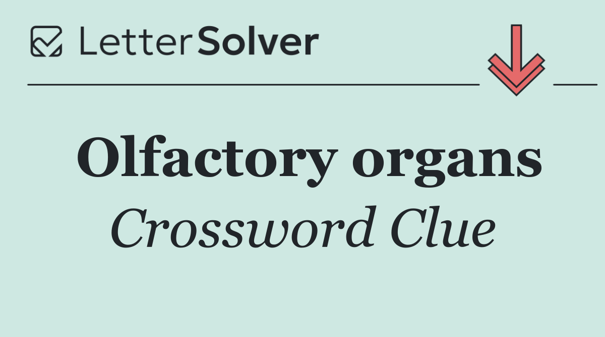 Olfactory organs