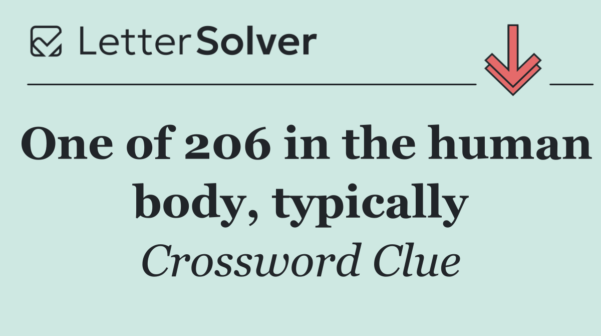 One of 206 in the human body, typically