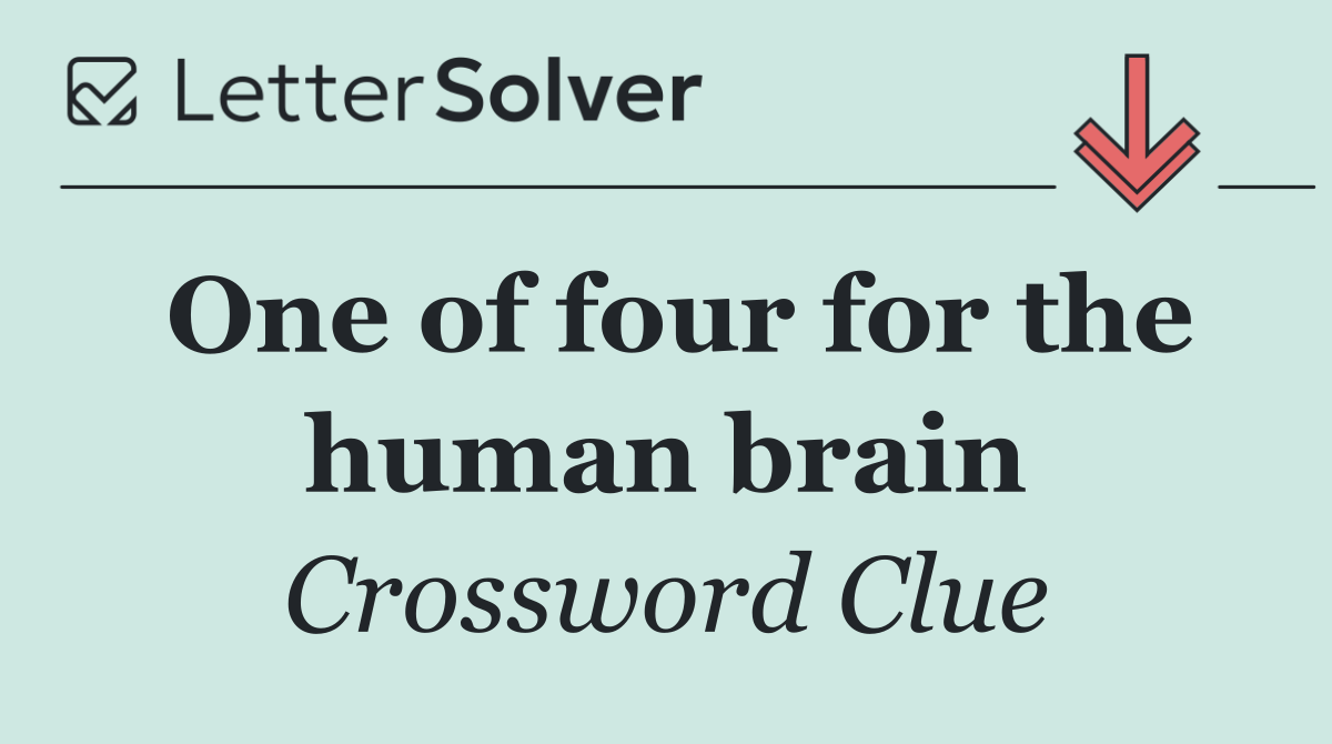 One of four for the human brain