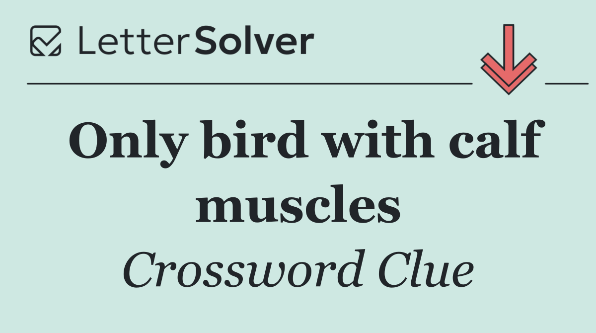 Only bird with calf muscles