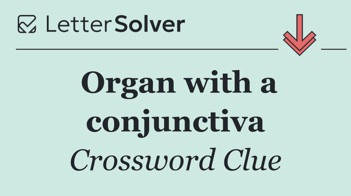 Organ with a conjunctiva