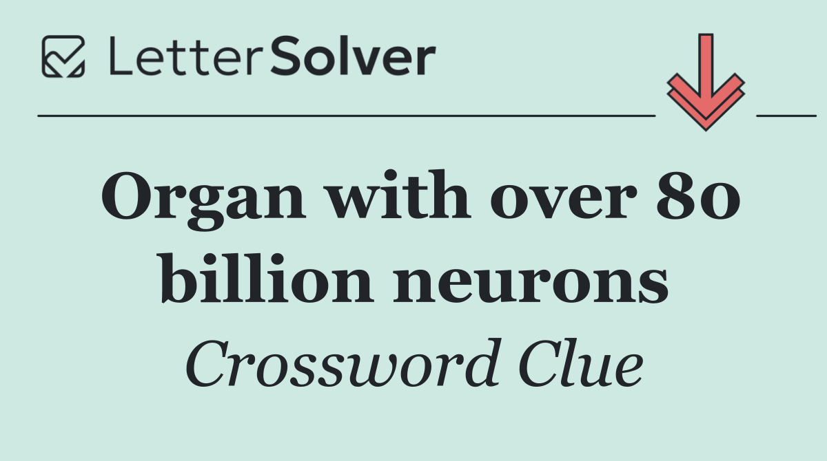 Organ with over 80 billion neurons