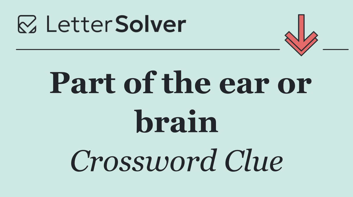 Part of the ear or brain