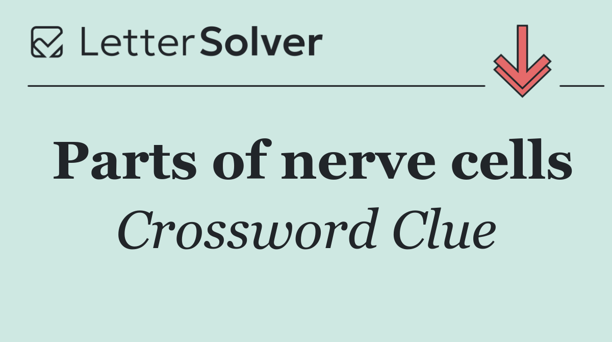 Parts of nerve cells