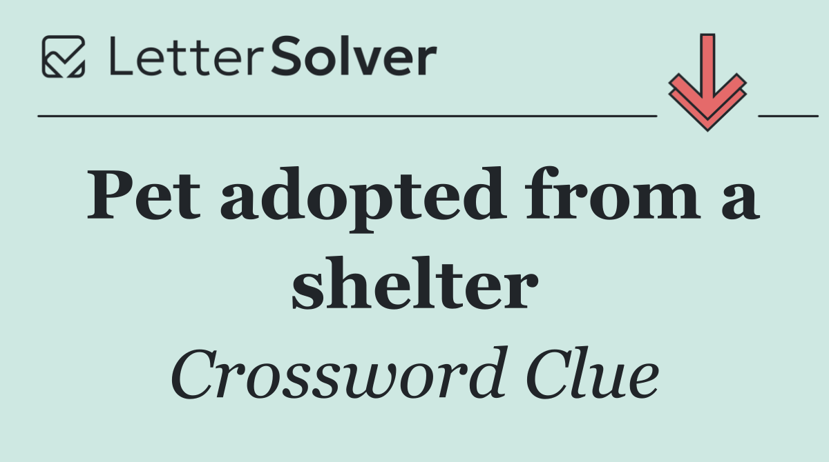 Pet adopted from a shelter