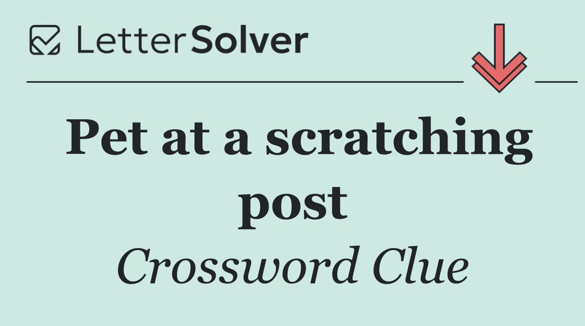 Pet at a scratching post