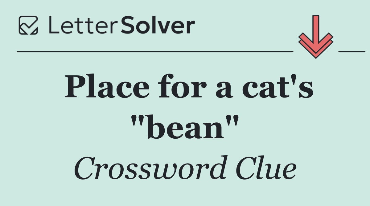 Place for a cat's "bean"