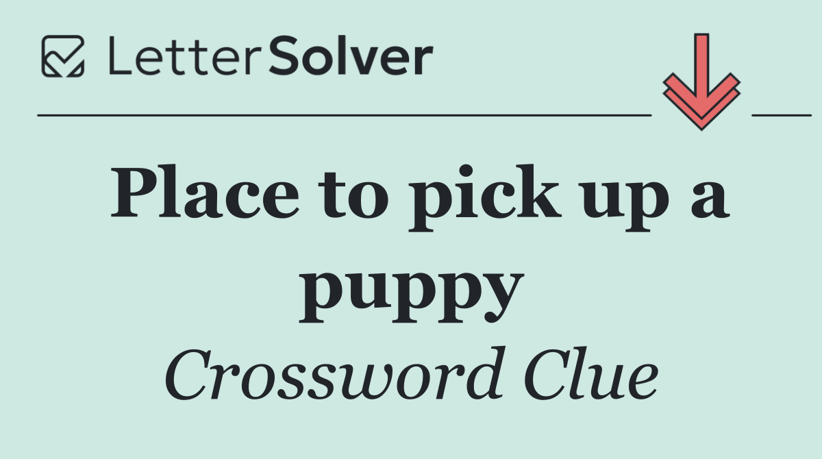 Place to pick up a puppy