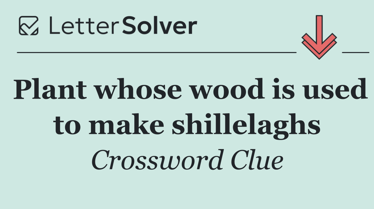 Plant whose wood is used to make shillelaghs