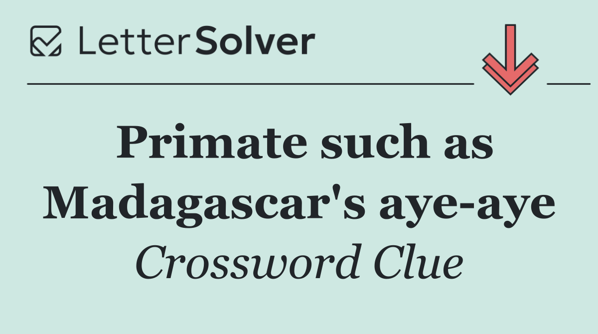 Primate such as Madagascar's aye aye