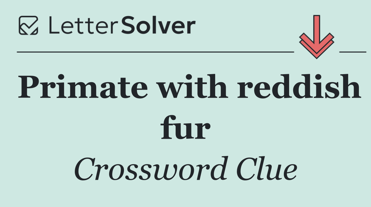 Primate with reddish fur