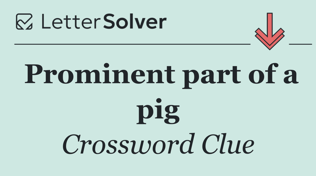 Prominent part of a pig