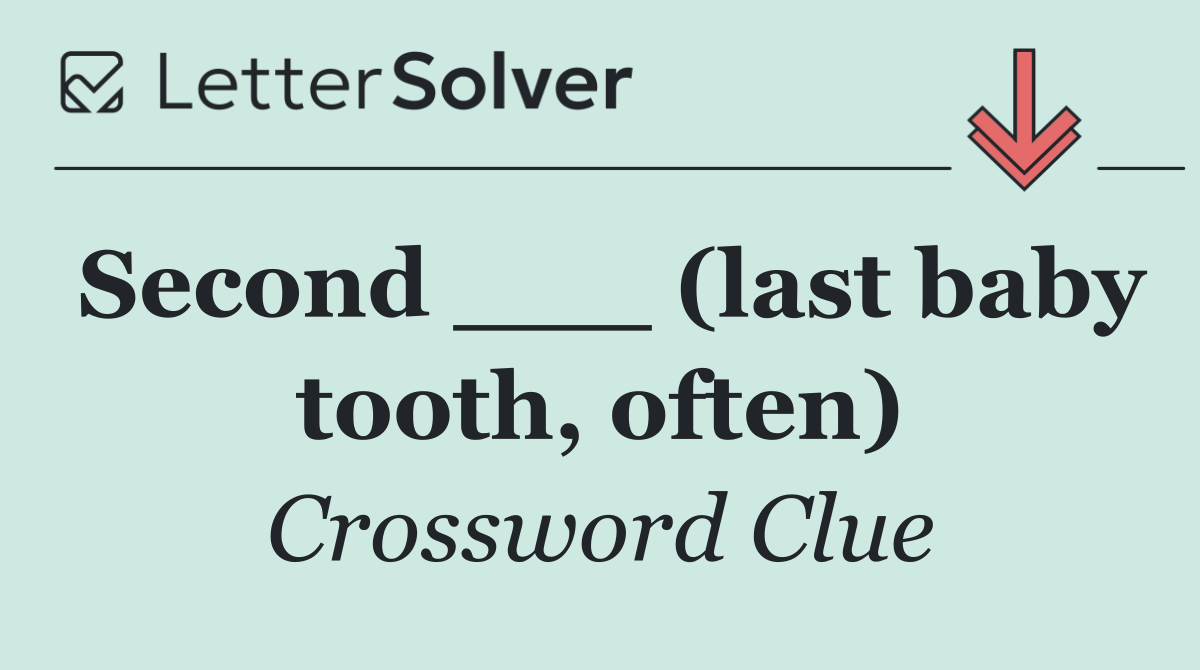 Second ___ (last baby tooth, often)