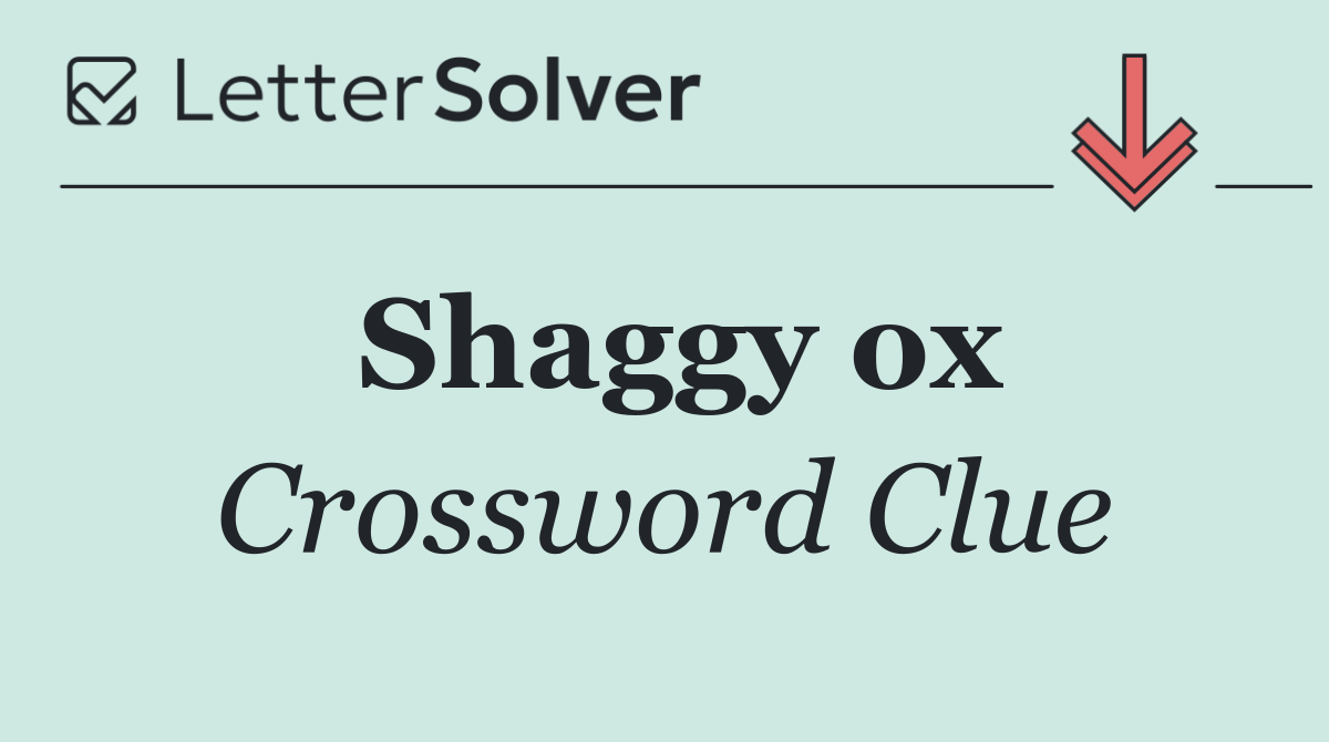 Shaggy ox