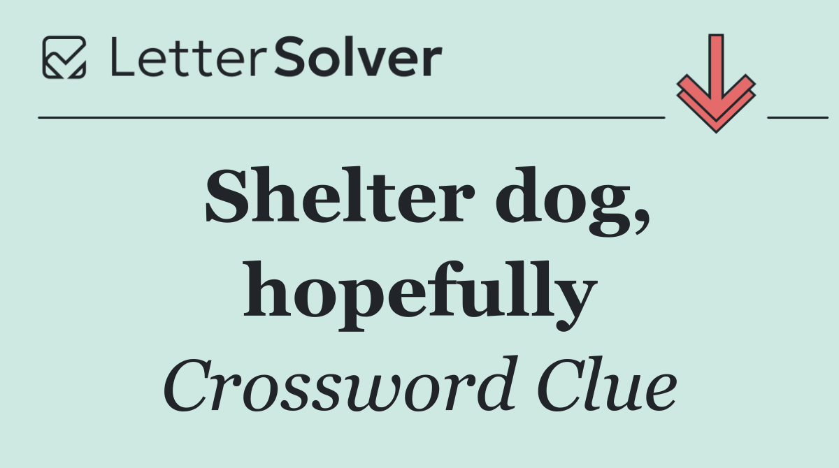 Shelter dog, hopefully
