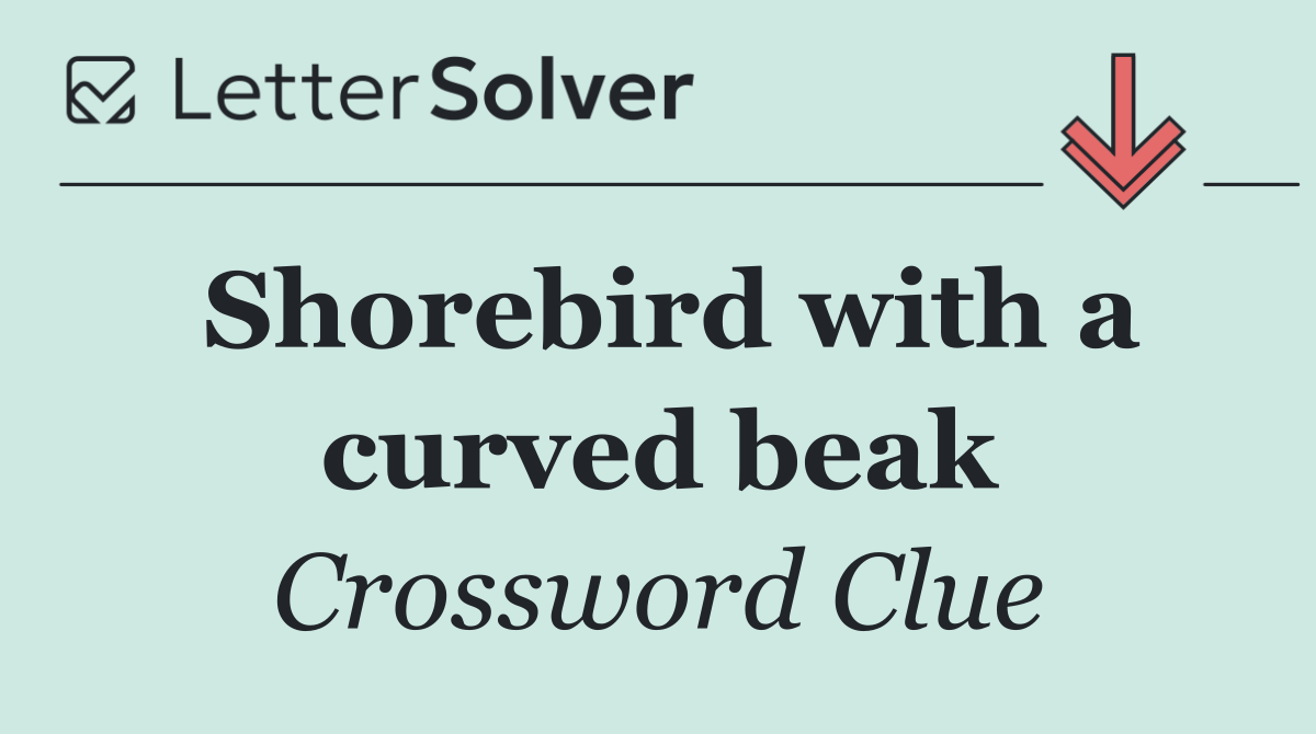 Shorebird with a curved beak