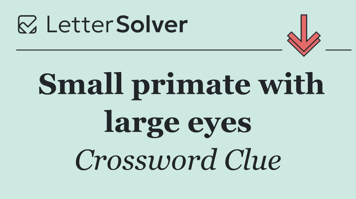 Small primate with large eyes