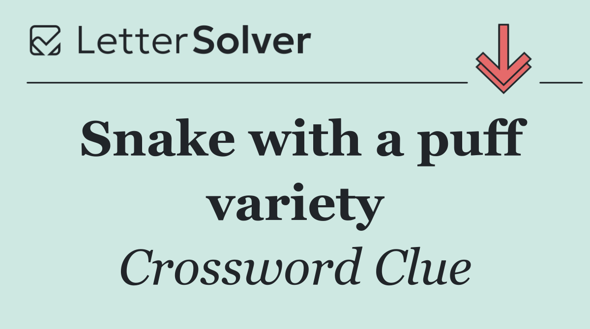 Snake with a puff variety