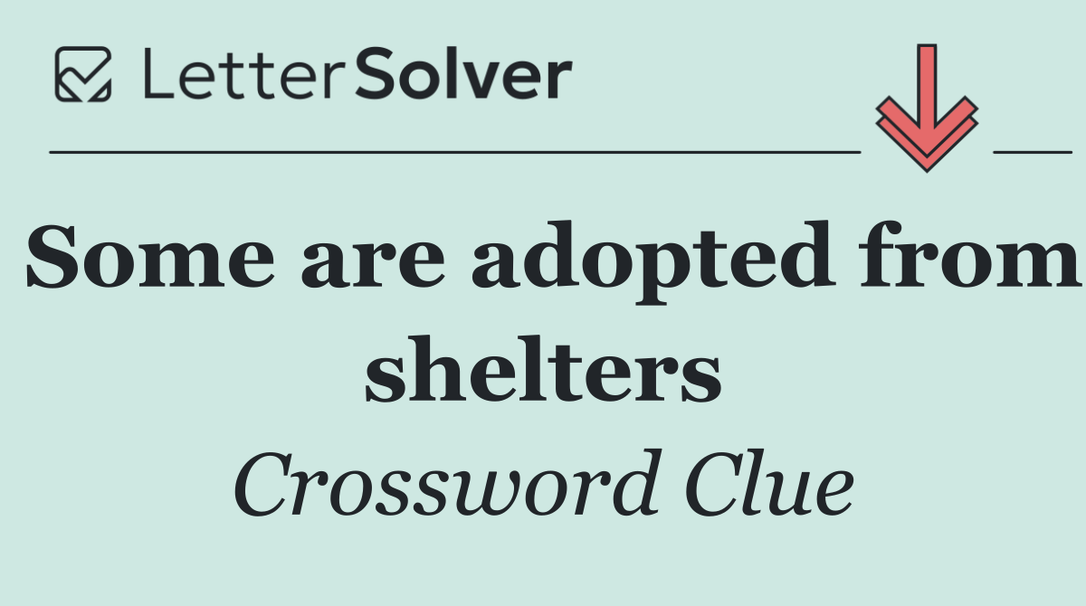 Some are adopted from shelters