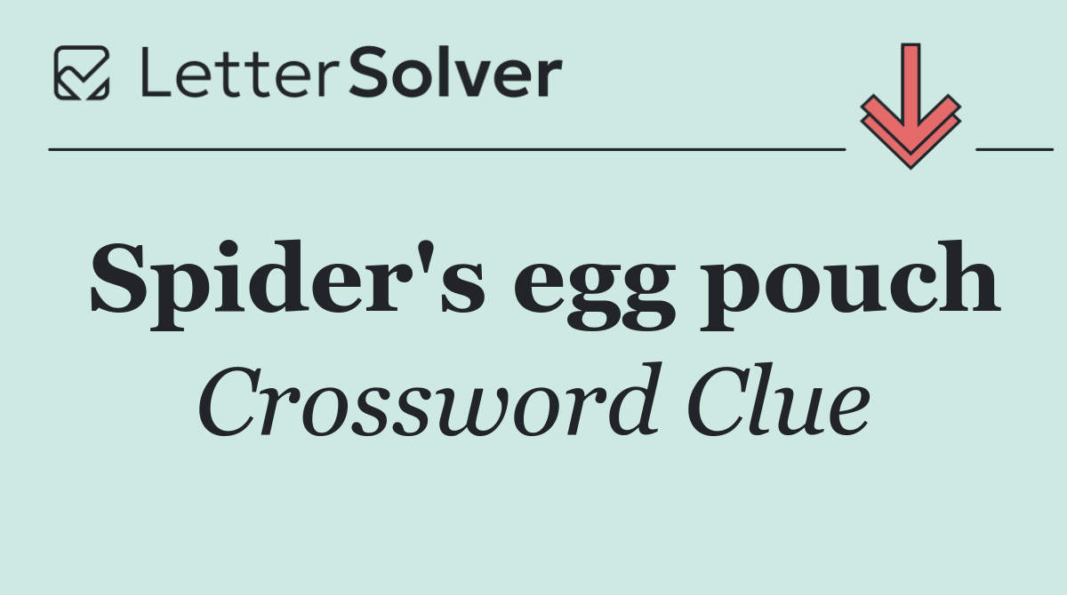 Spider's egg pouch