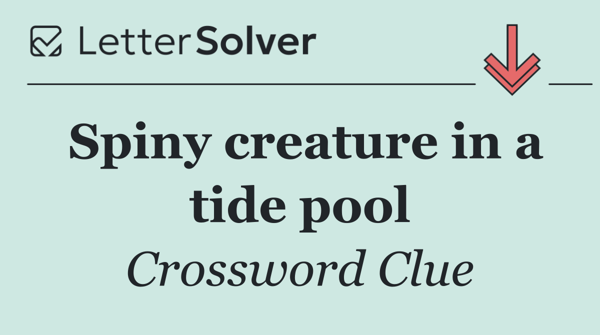 Spiny creature in a tide pool