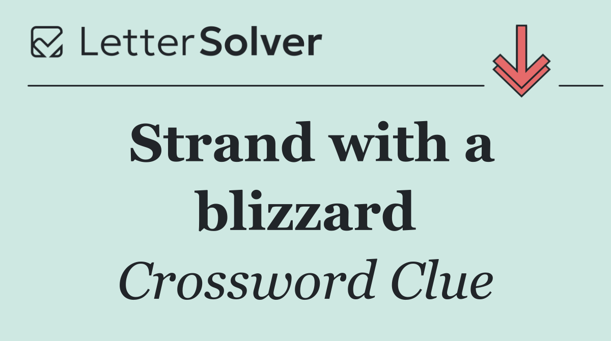 Strand with a blizzard