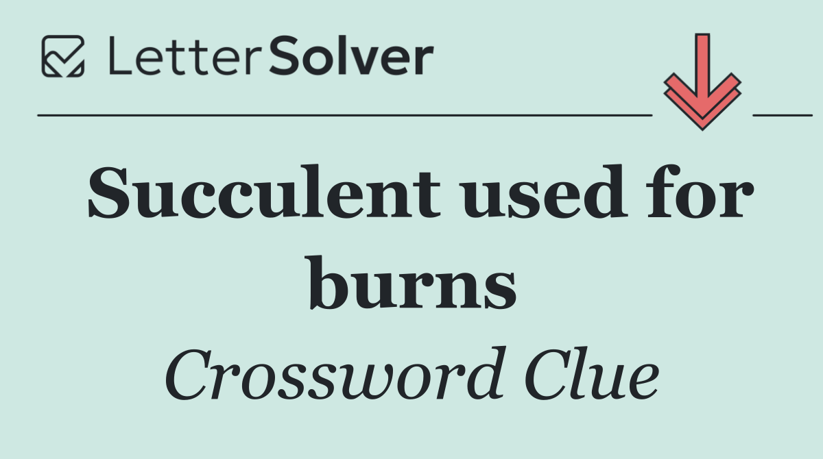 Succulent used for burns