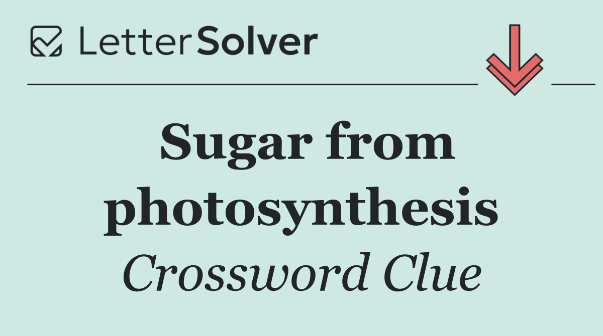 Sugar from photosynthesis