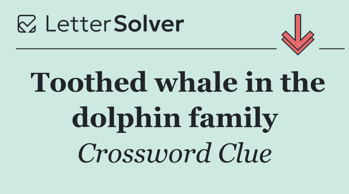 Toothed whale in the dolphin family