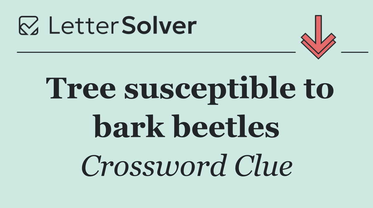 Tree susceptible to bark beetles