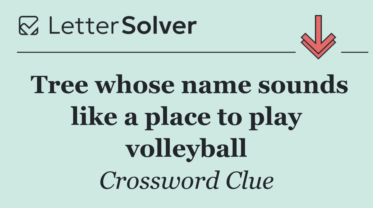 Tree whose name sounds like a place to play volleyball