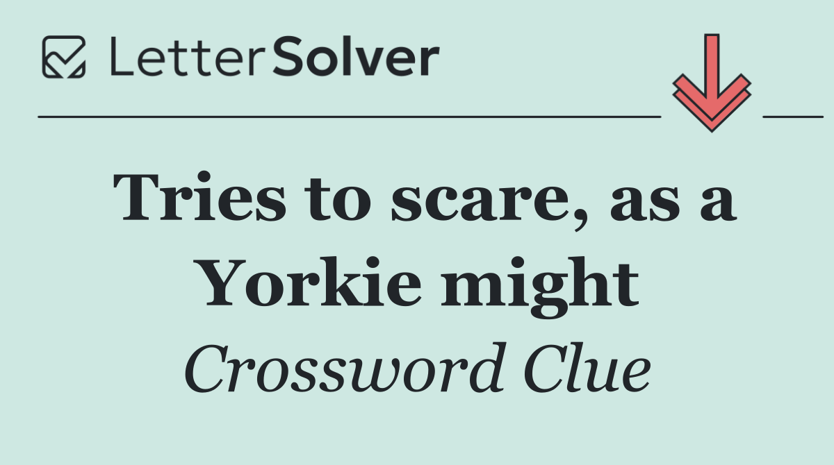 Tries to scare, as a Yorkie might