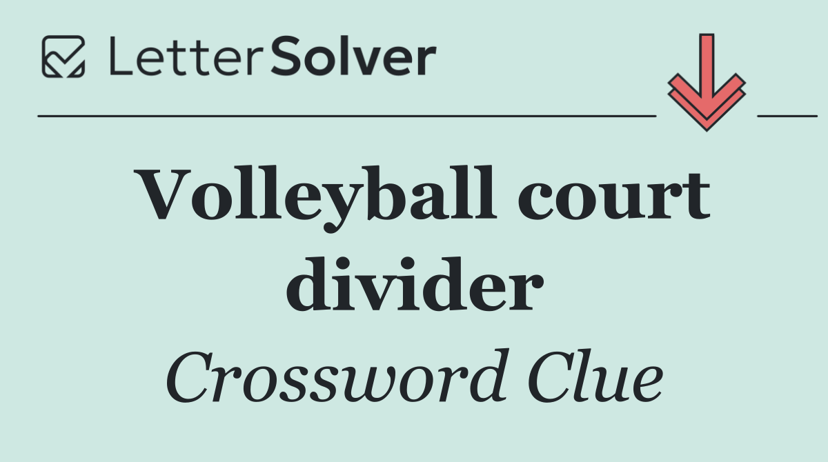 Volleyball court divider