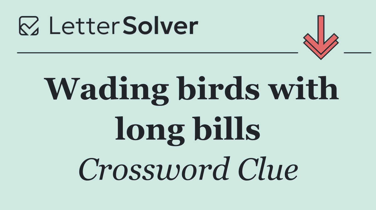 Wading birds with long bills