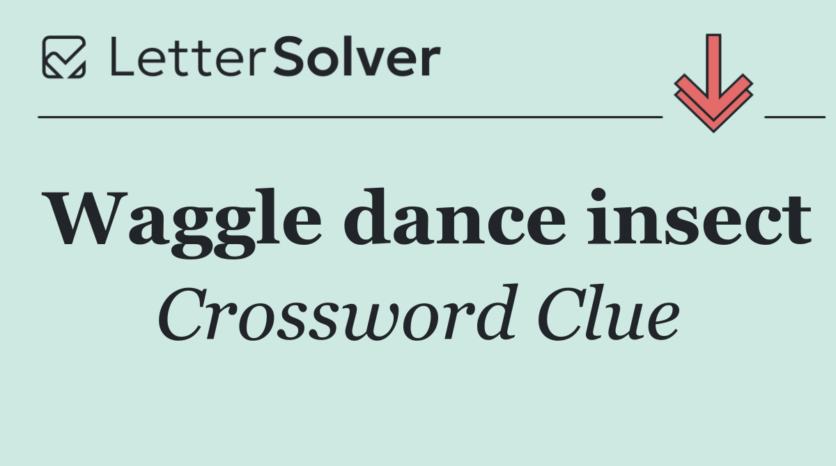 Waggle dance insect