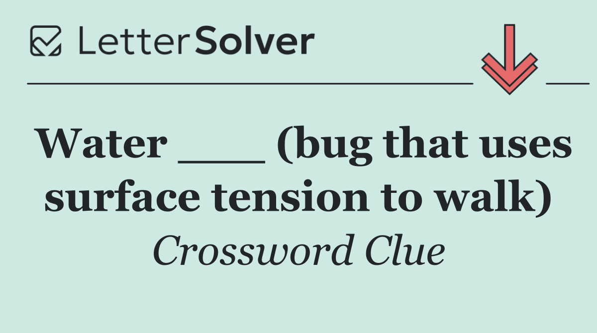 Water ___ (bug that uses surface tension to walk)