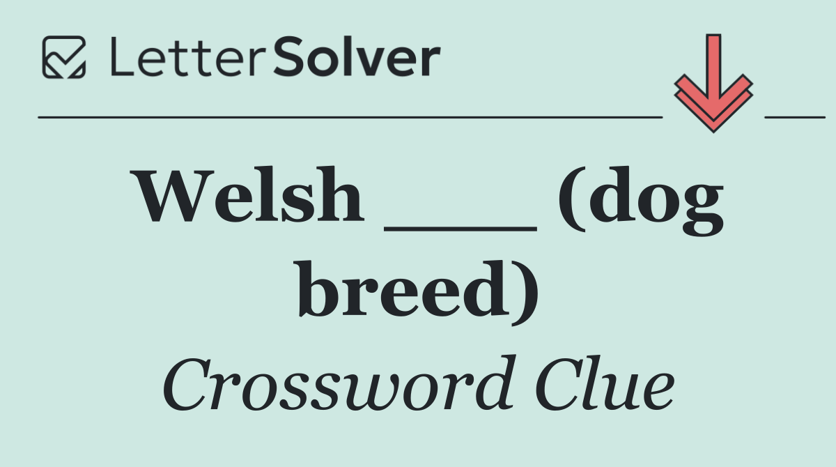Welsh ___ (dog breed)
