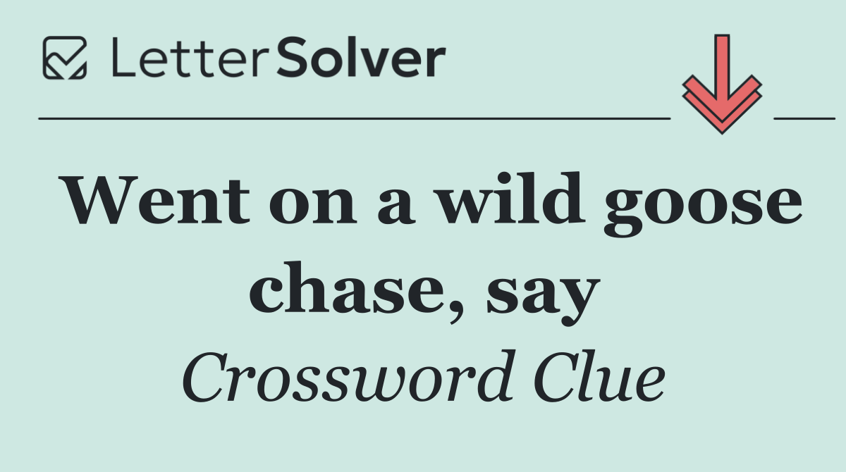 Went on a wild goose chase, say