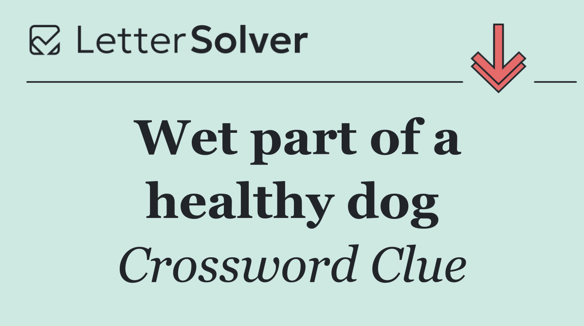 Wet part of a healthy dog